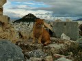 Athens Acropolis - Intrepid Escape