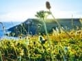 Camping on the Dorset Jurassic Coast - Intrepid Escape