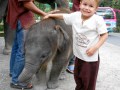 Bohemian Travelers - Chiang Mai at Christmas