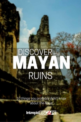 Discover the Mayan Ruins Tikal & Belize