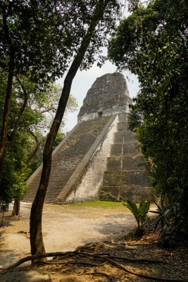 Intrepid Escape - Tikal Mayan Ruins Guatemala (4)