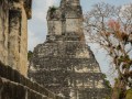 Intrepid Escape - Tikal Mayan Ruins Guatemala (10)
