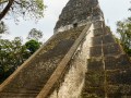 Intrepid Escape - Tikal Mayan Ruins Guatemala (5)