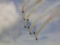 Red Arrows Goodwood