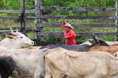 The Guyana Rupununi Savannah