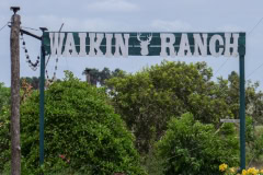 The Guyana Rupununi Savannah