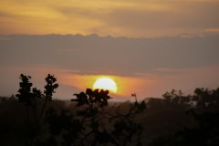 The Guyana Rupununi Savannah