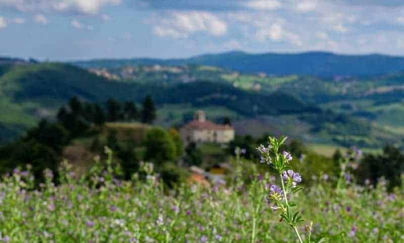 Hiking the Path of Gods, Italy - Intrepid Escape