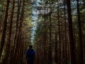 Hiking the Path of Gods, Italy - Intrepid Escape