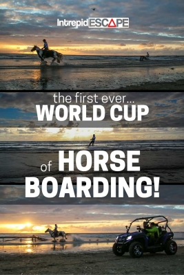 Horse Boarding World Cup