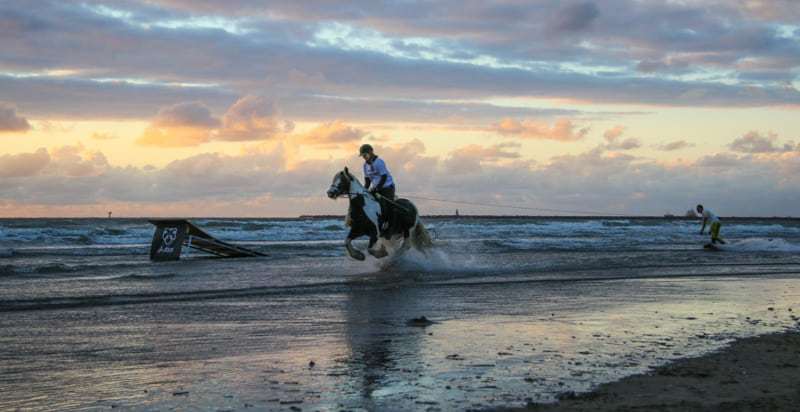 Horseboarding World Cup