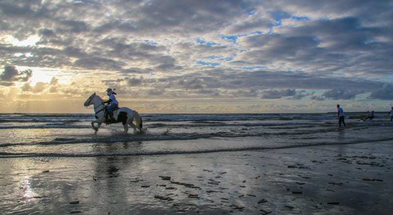 Horseboarding World Cup