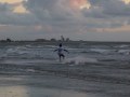 Horseboarding World Cup