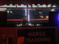 Horseboarding World Cup