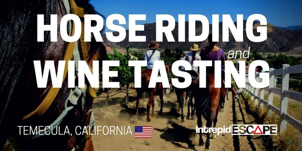 Horse Riding & Wine tasting Temecula