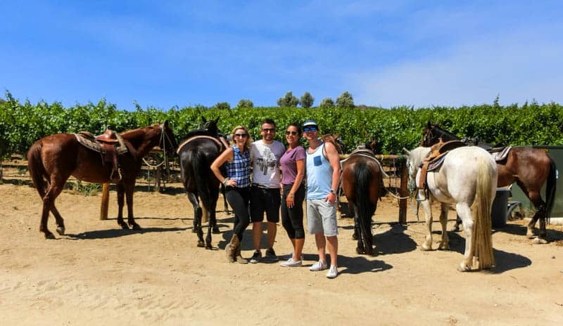 Horse Riding & Wine Tasting - Temecula