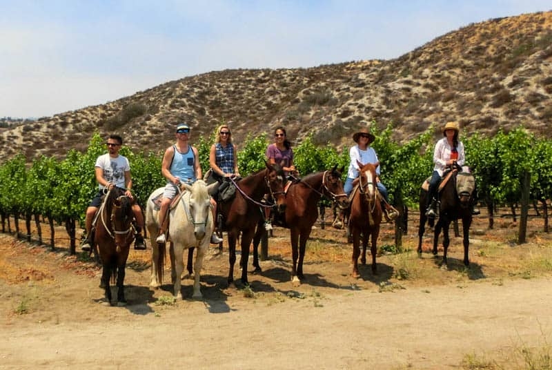 Horse Riding & Wine Tasting - Temecula