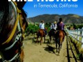 Horse Riding Temecula