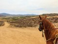 Horse Riding & Wine Tasting - Temecula