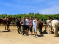 Horse Riding & Wine Tasting - Temecula