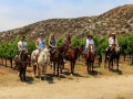 Horse Riding & Wine Tasting - Temecula