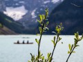 Lake Louise