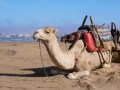 Learning to Kite-surf in Essaouira, Morocco with KiteWorldWide