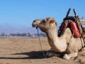 Learning to Kite-surf in Essaouira, Morocco with KiteWorldWide