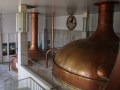 Kozel Brewery - Velké Popovice