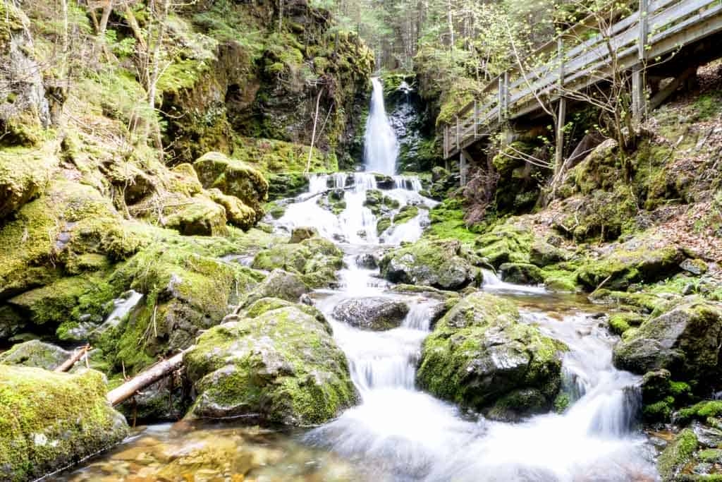 New Brunswick Road Trip - Fundy National Park