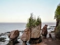 New Brunswick Road Trip - Hopewell Rocks