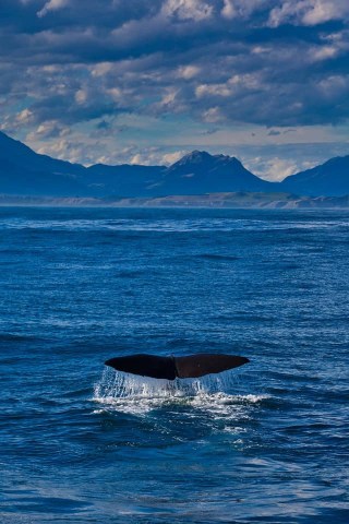 Kaikoura, New Zealand