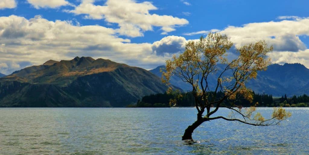 Lake Wanaka, New Zealand