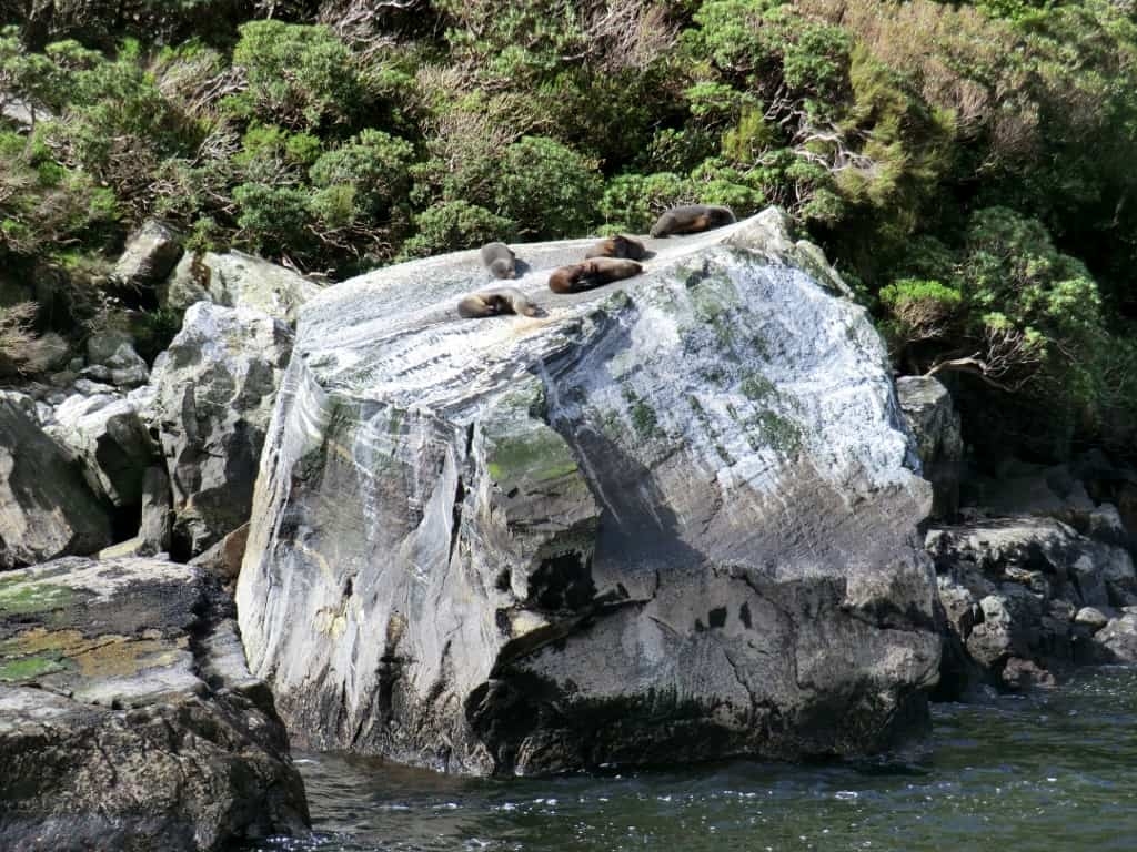 Milford Sound, New Zealand