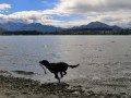 Lake Wanaka, New Zealand