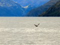 Lake Wanaka, New Zealand