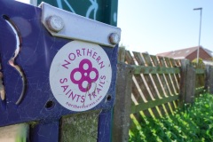 Nothern Saints Trails
