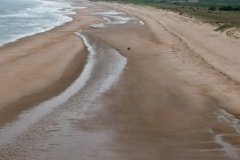 Nothern Saints Trails