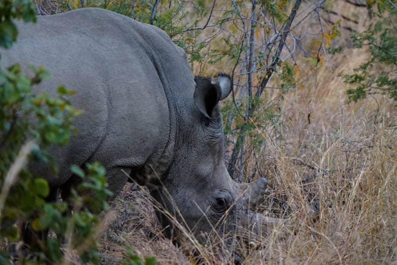 Pilanesburg National Park