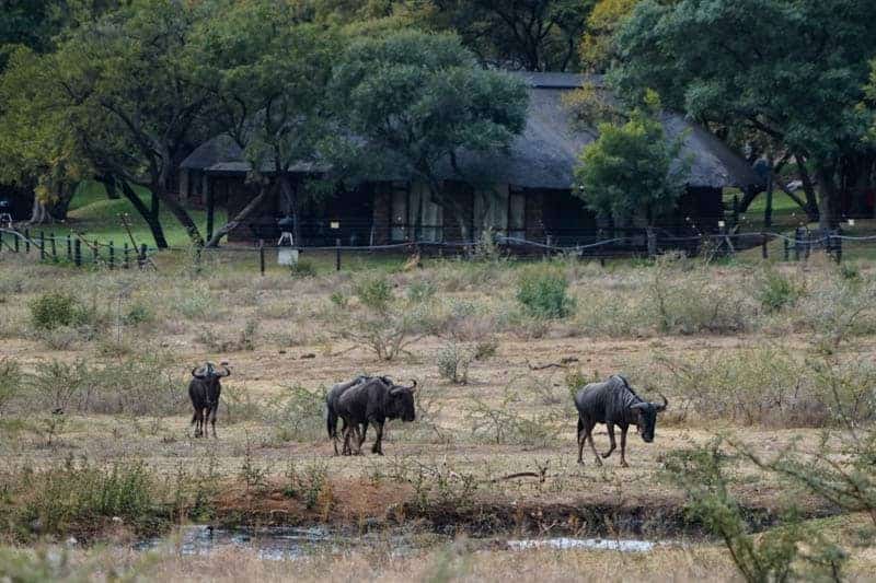 Pilanesburg National Park