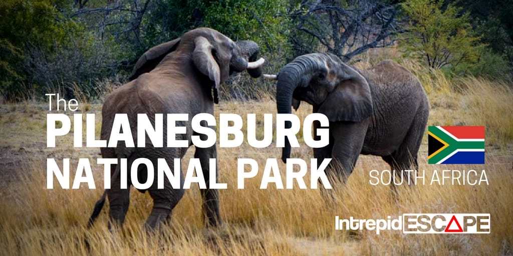 Pilanesburg National Park