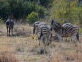 Pilanesburg National Park