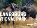 Pilanesburg National Park
