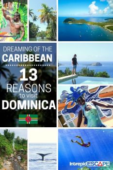 Reasons to visit Dominica, Caribbean