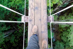 Zipline in the Redwood Forest - Bucket List Road Trips: Driving from San Francisco to Mammoth Lakes