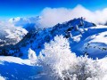 Doorstep Skiing at Les Arcs 2000