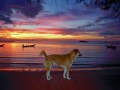 Koh Tao Sunset - Intrepid Escape