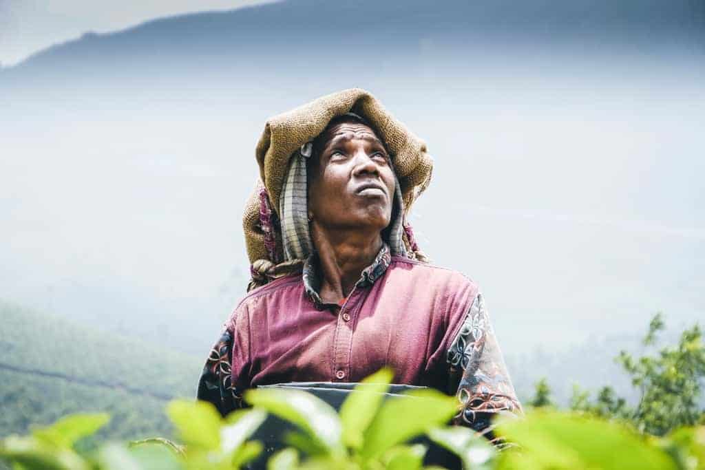 The Amazing People of Kerala, India