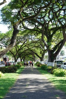 Things to do in Georgetown Guyana