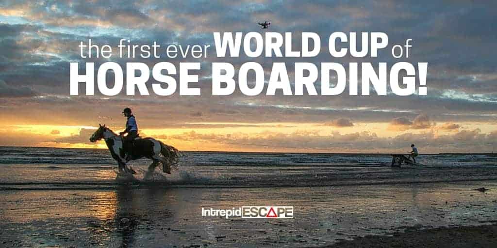 Horse Boarding World Cup